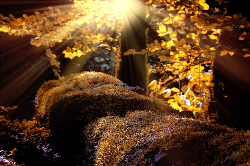 Transformationstag: Erinnere dich wer du bist